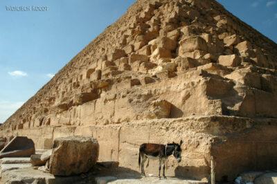 9115 - Giza - Piramida Chefrena