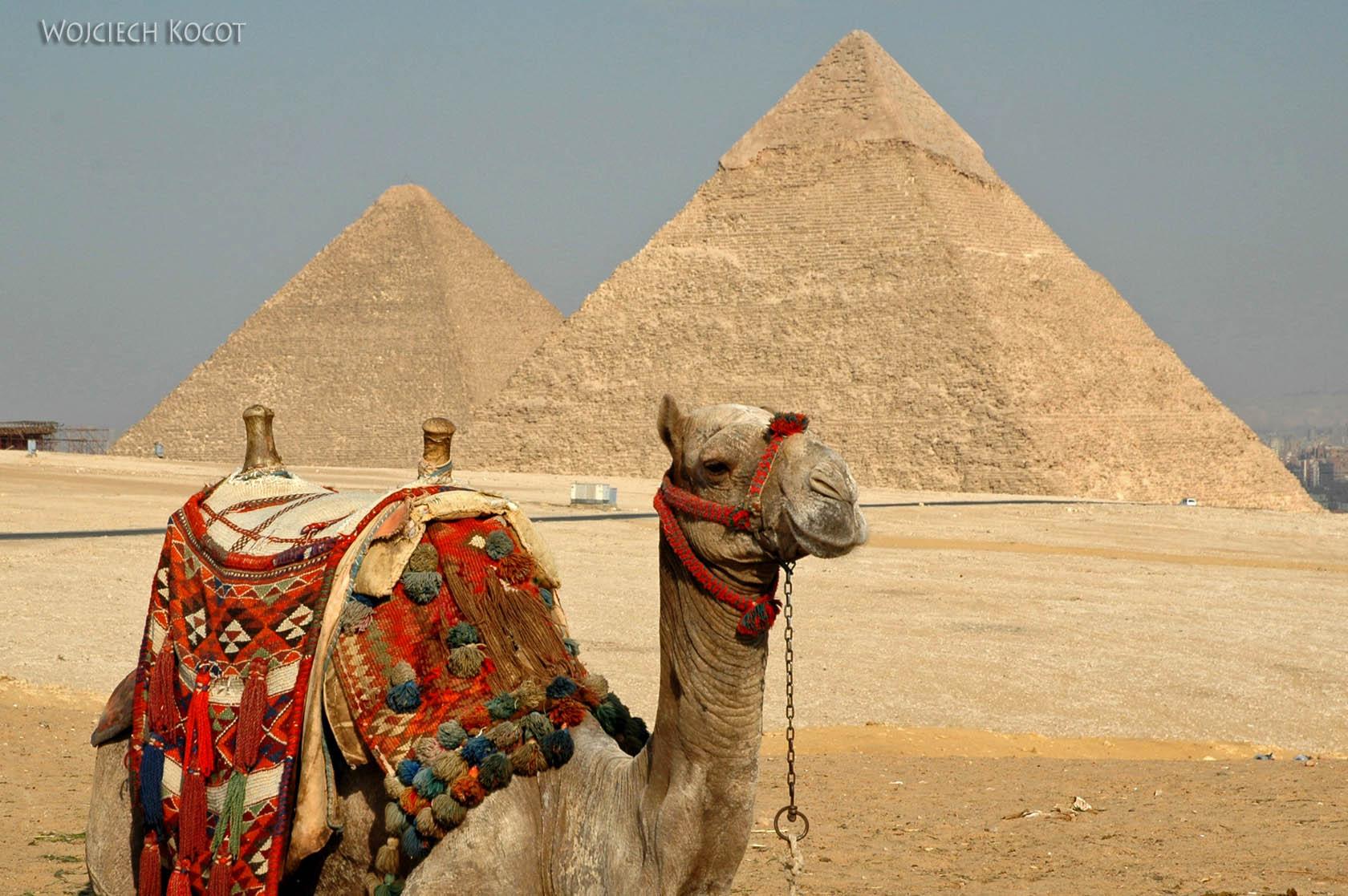 9141 - Giza - Piramidy i camele