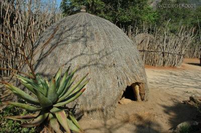 SA06085-Matenga Nature-Wioska Swazi