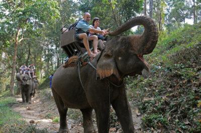 Jazda na słoniu