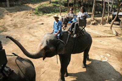 Jazda na słoniu