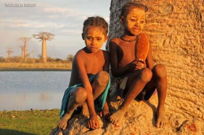 Ma18102-Dziewczynka z Baobabem