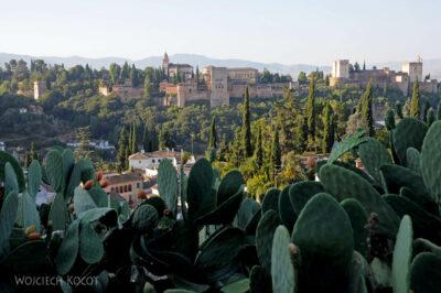 Por10314-Widok z Sacromonte na Alhambrę