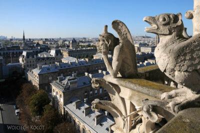 Por23265-Paryż - Notre-Dame - detale na wieży