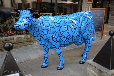 Gen08137-Chamonix-Blue Krowa
