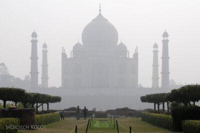 IN04169-Agra-Widok na Taj Mahal z Parku Mehtabh Bagh
