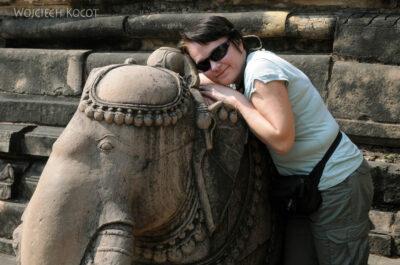 IN07124-Khajuraho-Kwa i Słoń przed Vishwanath Temple