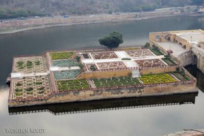 IN24029-Jaipur-Amber Palace - ogród na wodzie