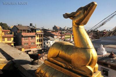 IN13174-Kathmandu-przy stupie Bondhanath