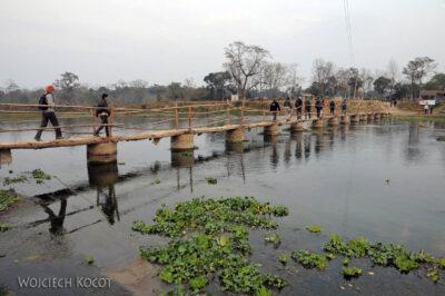 IN16167-Chitwan-przez most