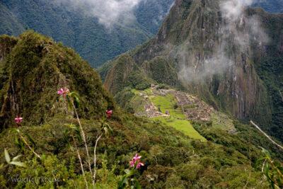 PBw083-W drodze na szczyt Machu Picchu
