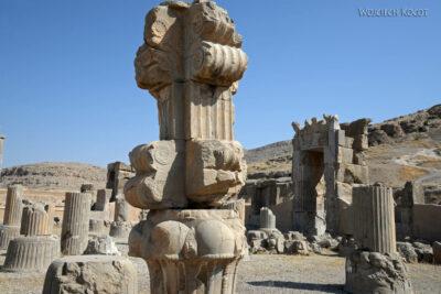 Irnp038-Persepolis