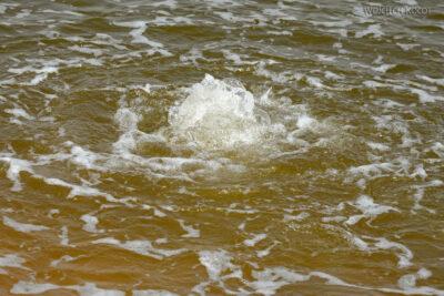 Et14376-Danakil 4- gorące jeziorko Gaet'Ale Pond