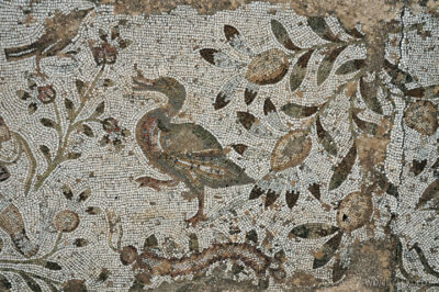 Tuc101-Willa rzymska i mozaiki