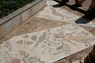Tuc102-Willa rzymska i mozaiki
