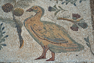 Tuc103-Willa rzymska i mozaiki