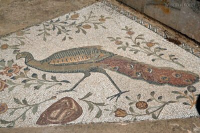 Tuc104-Willa rzymska i mozaiki