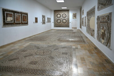 Tue125-El Jem-Museum of the South Quarters of Thysdrus-mozaiki