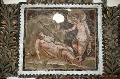 Tue127-El Jem-Museum of the South Quarters of Thysdrus-mozaiki