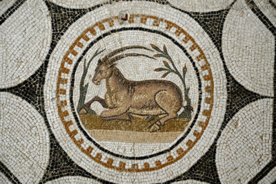 Tue130-El Jem-Museum of the South Quarters of Thysdrus-mozaiki