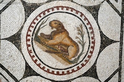 Tue131-El Jem-Museum of the South Quarters of Thysdrus-mozaiki