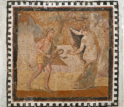 Tue134-El Jem-Museum of the South Quarters of Thysdrus-mozaiki