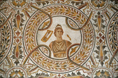 Tue143-El Jem-Museum of the South Quarters of Thysdrus-mozaiki