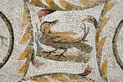 Tue170-El Jem-Museum of the South Quarters of Thysdrus-mozaiki