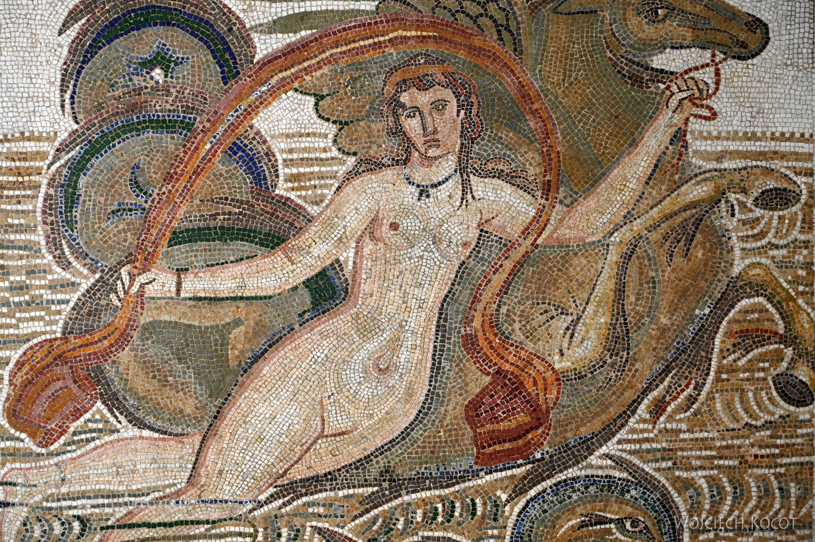 Tue190-El Jem-Museum of the South Quarters of Thysdrus-mozaiki