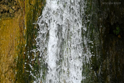 Tui059-Oaza Tamerza-wodospad