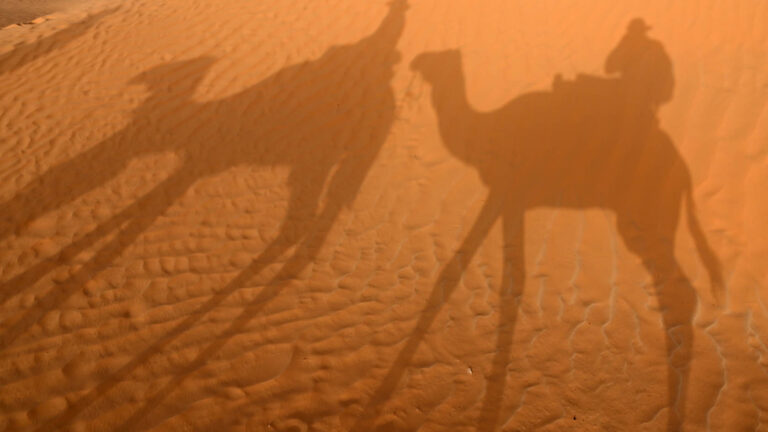 Tuj111-Na wielbładach przez pustynię-nasze cienie