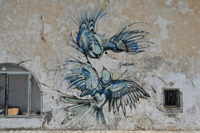 Tun033-Djerba-mural na ulicach