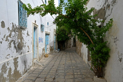 Tuf077-Sousse-na ulicach