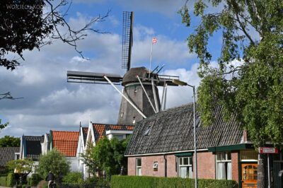 Pic3007-Alkmaar-wiatrak w sąsiedztwie