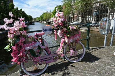 Pid1039-Amsterdam-Kwietny rower