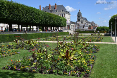 Pif3055-Blois-przy zamku
