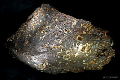 mg14-Meteoryt w cenie złota