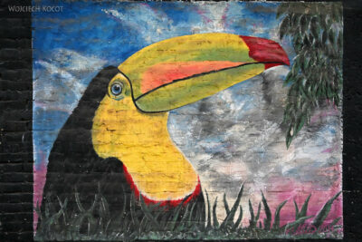 kolrol025-Roldanillo-mural