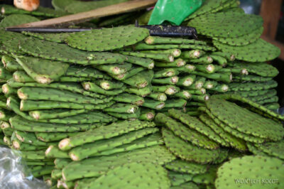 mxa060-Valle de Bravo-opuncja przygotowana do jedzenia