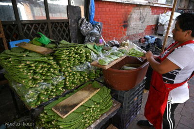 mxa061-Valle de Bravo-opuncja przygotowana do jedzenia