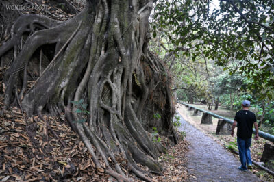mxm14-Malinalco-Zona Archeologica mxm14-Malinalco-Zona Archeologica