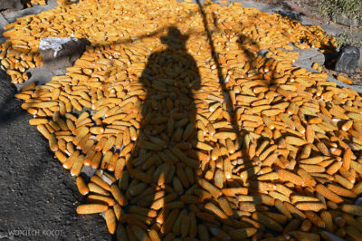 mxm34-Malinalco-kukurydza i PW mxm34-Malinalco-kukurydza i PW