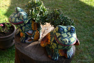 mxm60-Malinalco-domek hotel ekskluzyw mxm60-Malinalco-domek hotel ekskluzyw