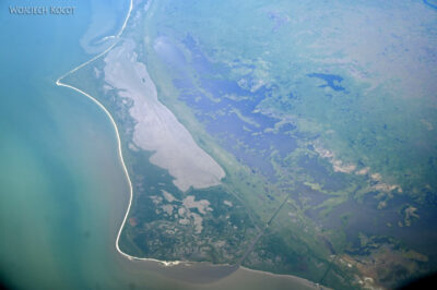 mxm68-Floryda mxm68-Floryda