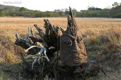 afr04d011-Great Zimbabwe-przy bramie