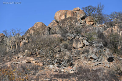 afr04d128-Matobo National Park