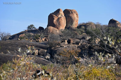 afr04d132-Matobo National Park