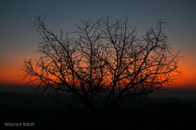 afr04d205-Matobo National Park-przy World's view