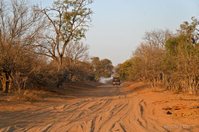 afr09d027-Chobe National Park - safari afr09d027-Chobe National Park - safari