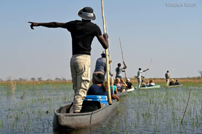 afr10d056-spływ mokoro po delcie Okavango